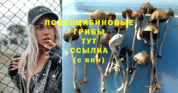 каннабис Абдулино