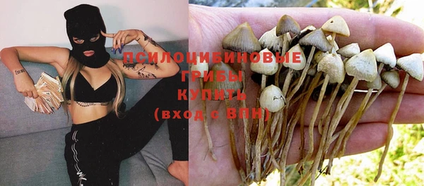 Альфа ПВП Сатка